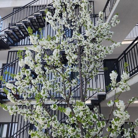 Khorgo Otel Gori Dış mekan fotoğraf