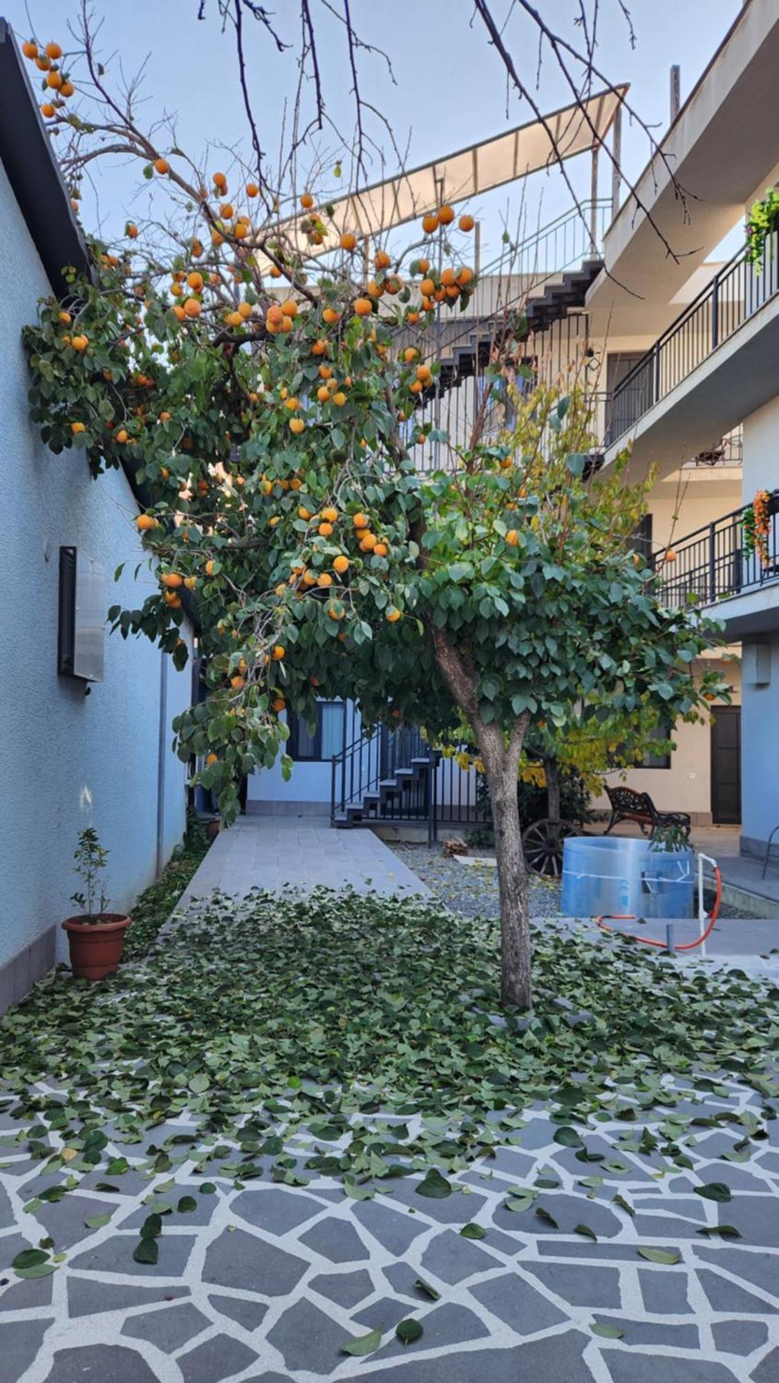 Khorgo Otel Gori Dış mekan fotoğraf